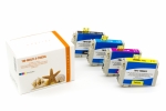 Kompatible Tintenpatronen Epson Nr. 603 Multipack, 13ml BK, je 9ml C-M-Y